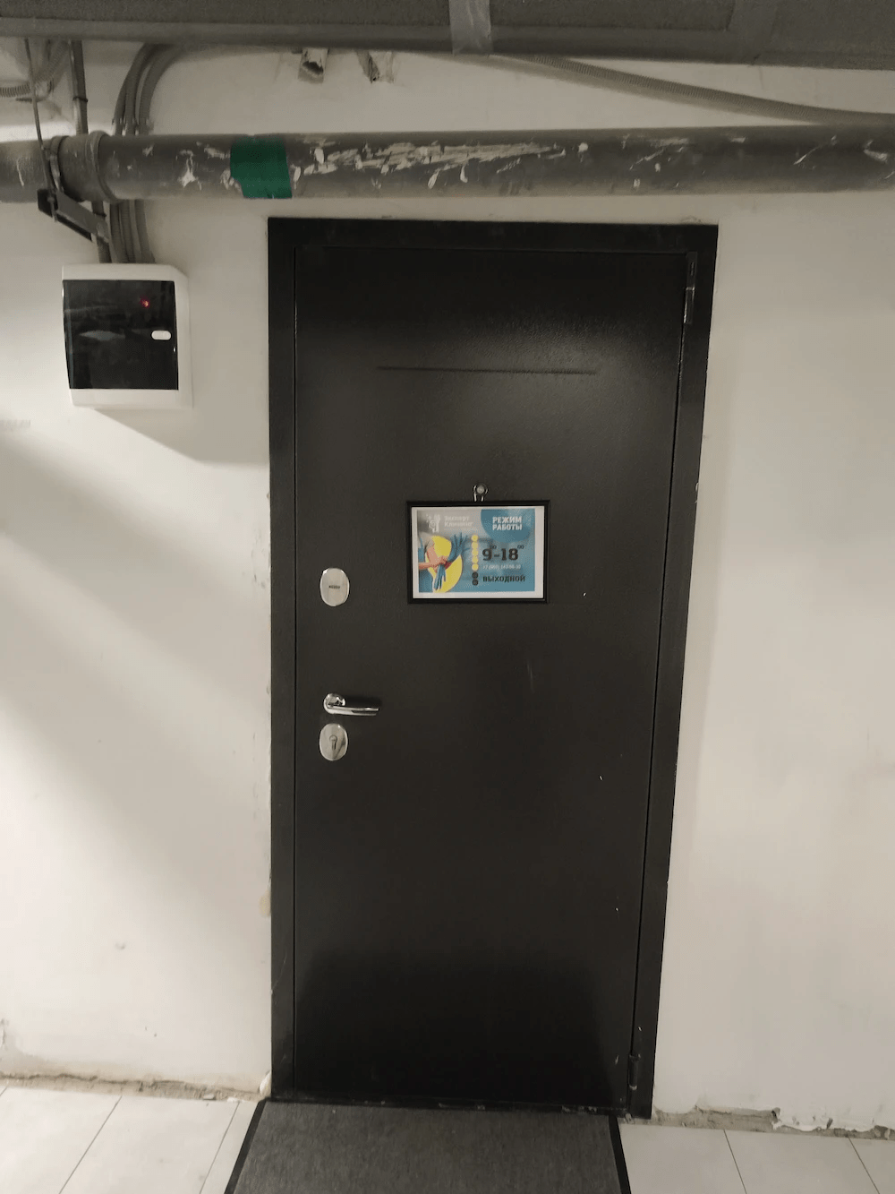 Фото офиса Эскела